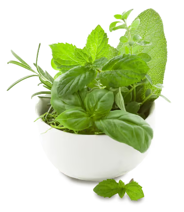 Fleish Kraeutermoerser