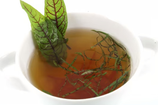 Tomatenconsommee Wertschöpfung